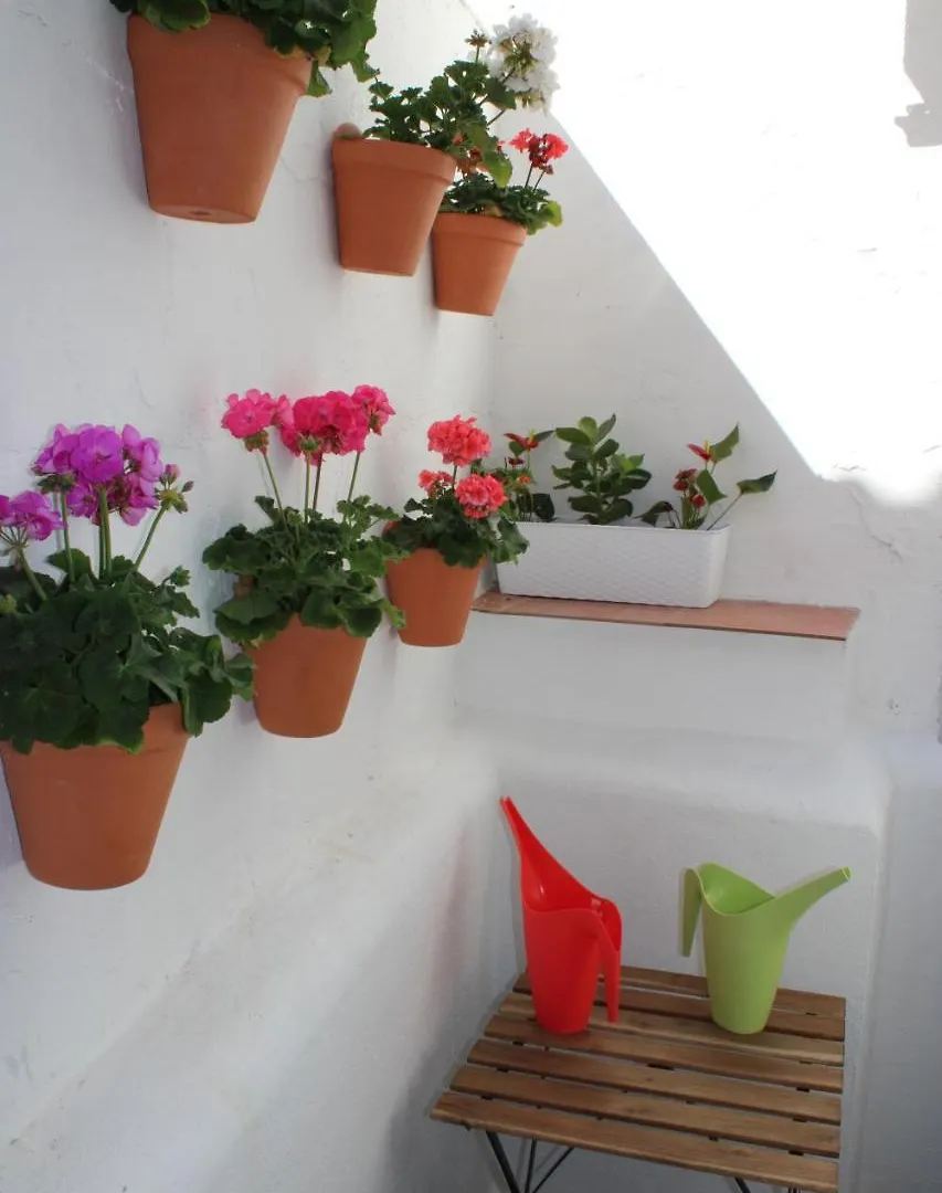 Fan Flat San Juan Apartment Malaga