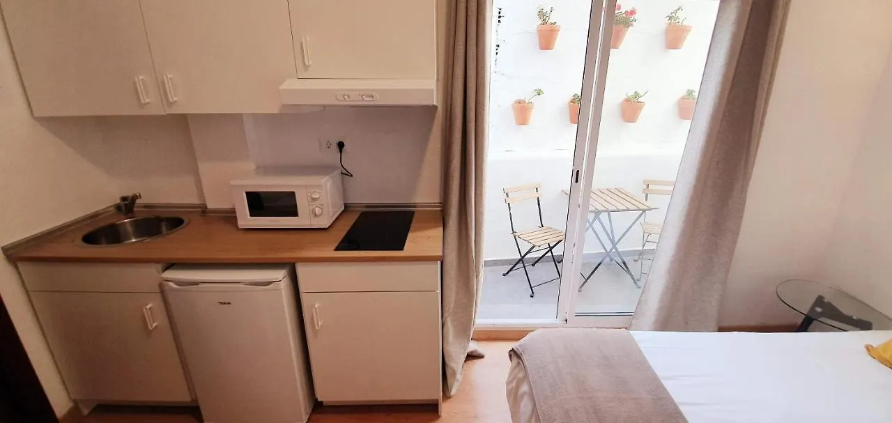 Fan Flat San Juan Apartment Malaga